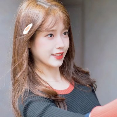 万紫千红花弄蝶